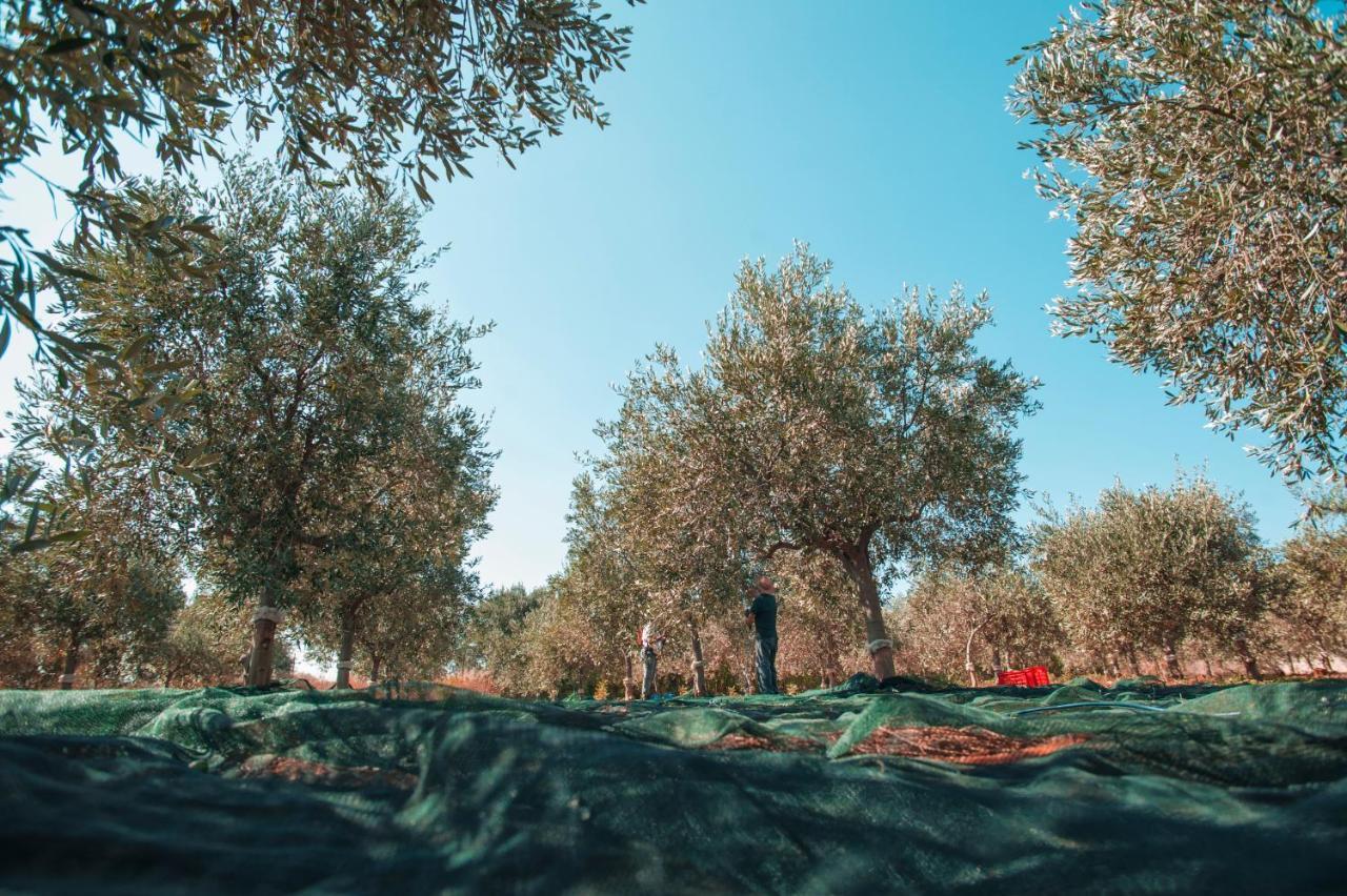 Relais Casina Miregia Hotel Menfi Luaran gambar